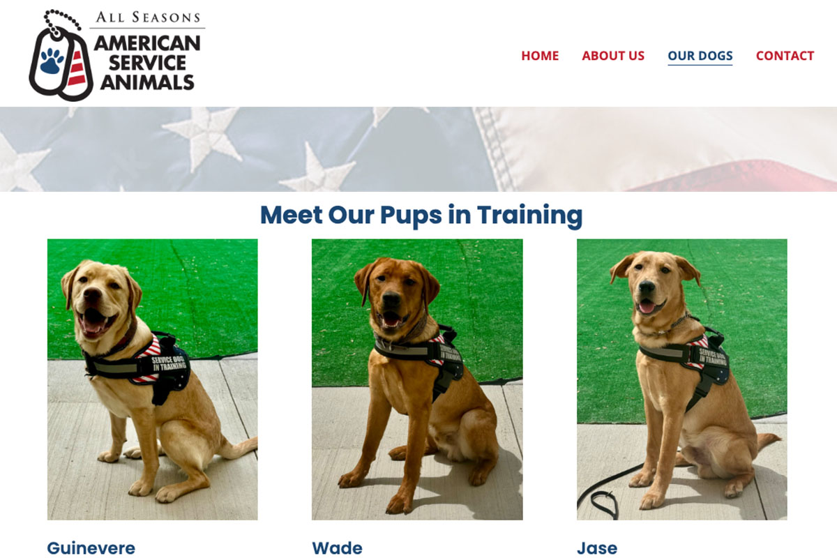 American Service Animals
